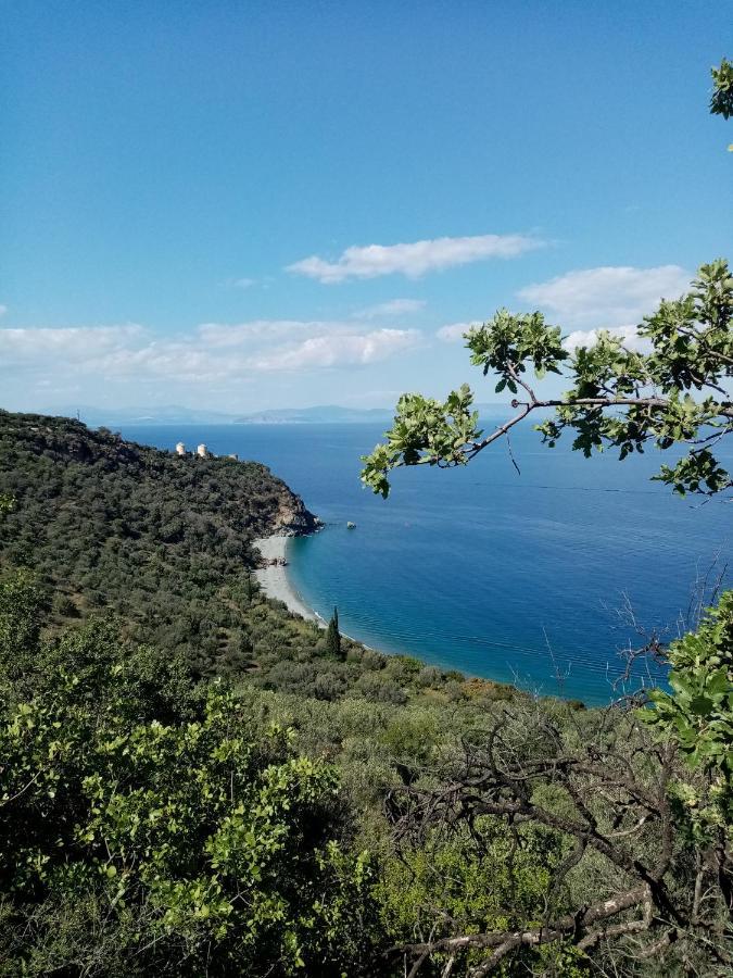 Kotsifas Rooms Tirós Dış mekan fotoğraf